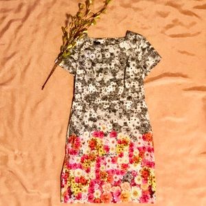 Talbots Fitted Floral Women’s Dress